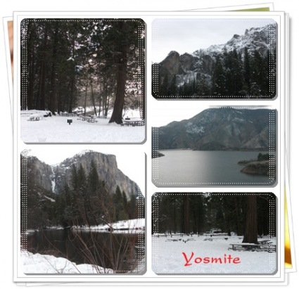 Sightseeing Tours, Travel Packages and Day Trips from Tours4Fun.com